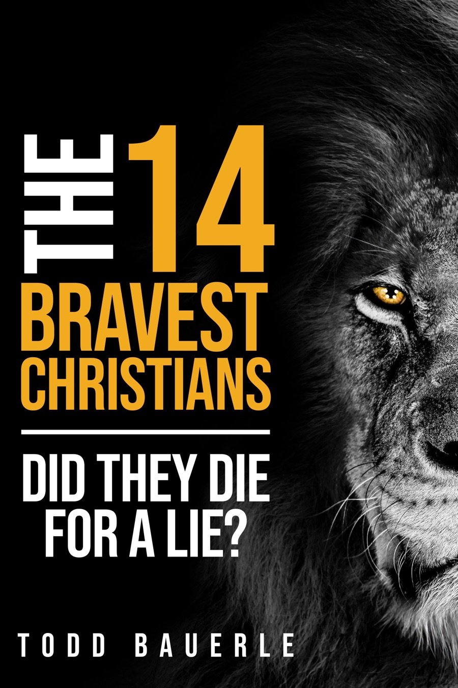 Cover of “The Fourteen Bravest Christians: Did They Die for a Lie?” by Todd Bauerle